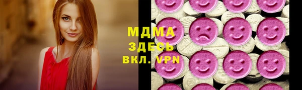 молекула духа Козельск