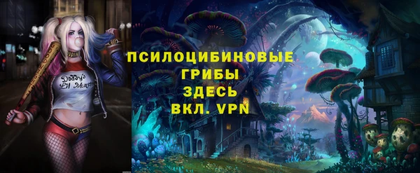 молекула духа Козельск